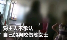 男女考妣视频,性别差异下的教育启示