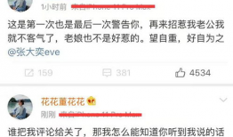 娱乐圈吃瓜张大奕,揭秘张大奕的明星生活与争议风波